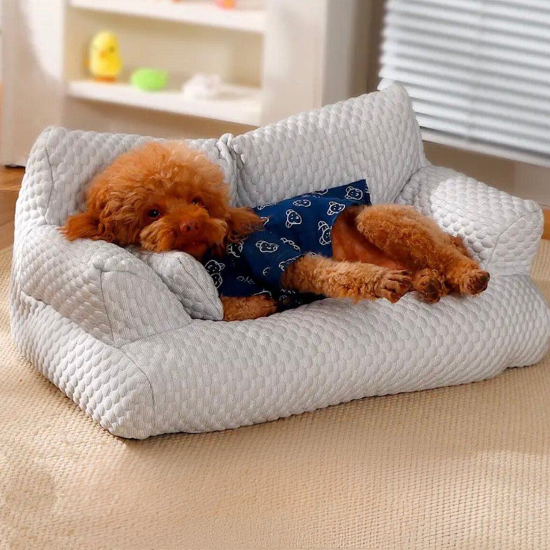 Kühlendes Hundesofa aus atmungsaktivem Material