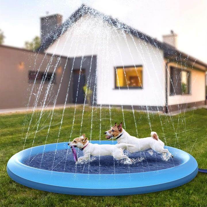Kühlende Wasserspielmatte für Hunde – Zur Abkühlung und zum Spielen in der Sommerhitze