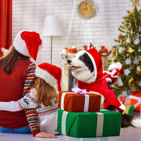 Weihnachts-Hundekleidung