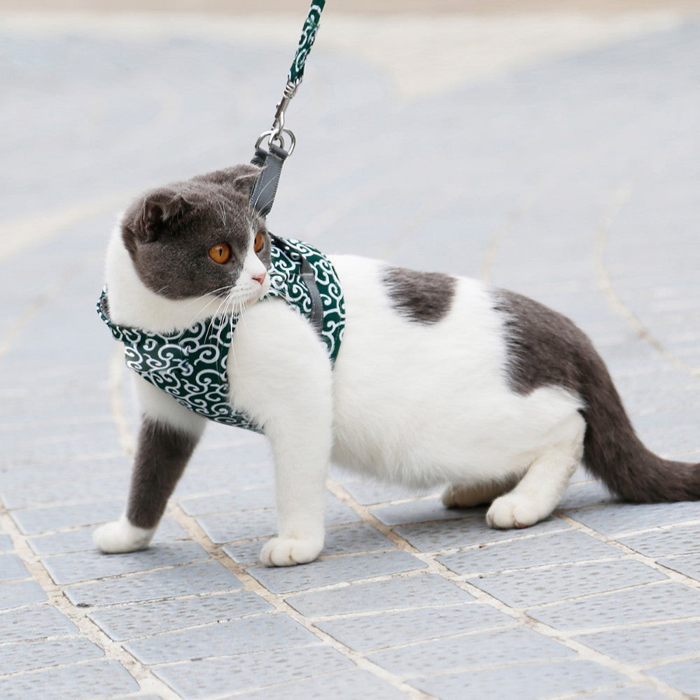 Ausbruchsicheres Katzengeschirr