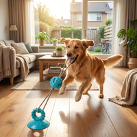 Hundespielzeug mit Saugnapf und Seil