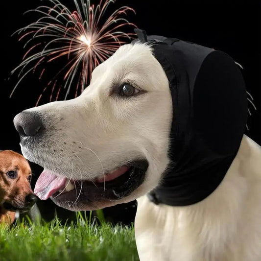 Gehörschutz für Hunde gegen Angst und Lärm