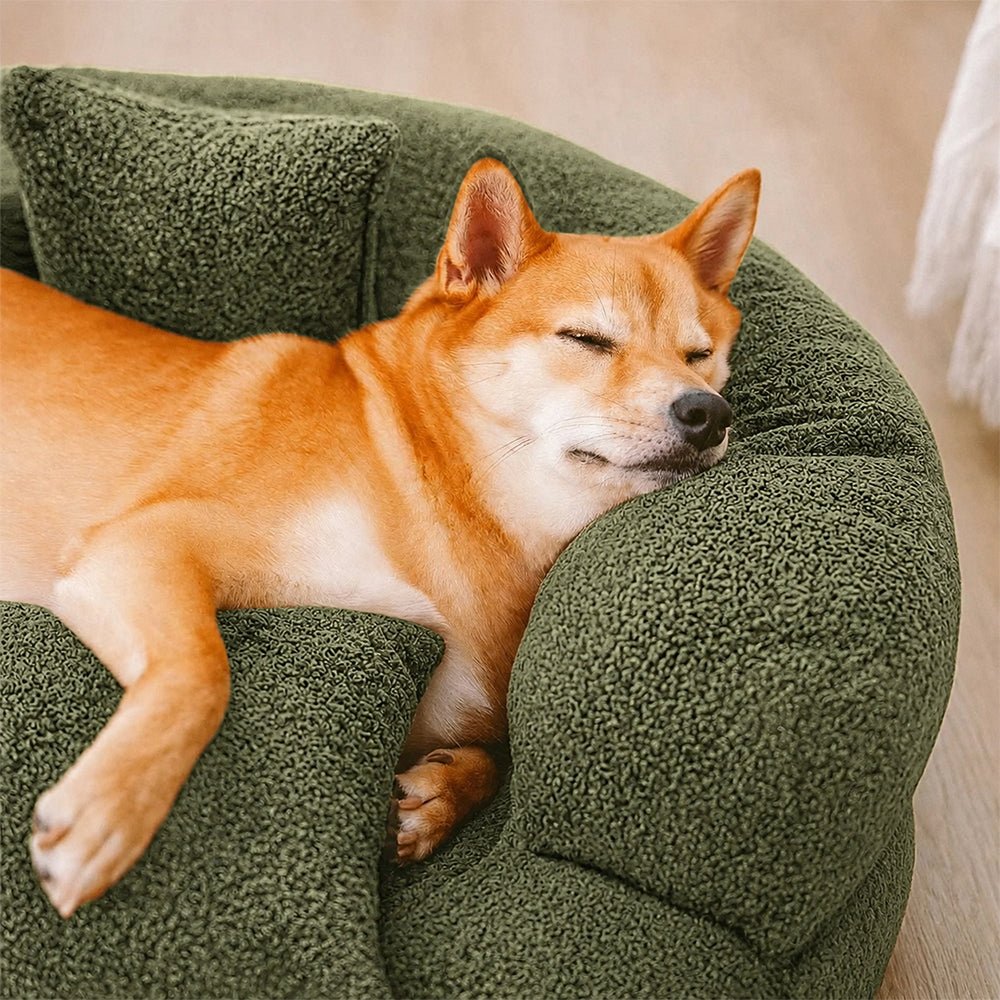 Orthopädisches Donut-Hundebett aus Diamantsamt für maximalen Komfort