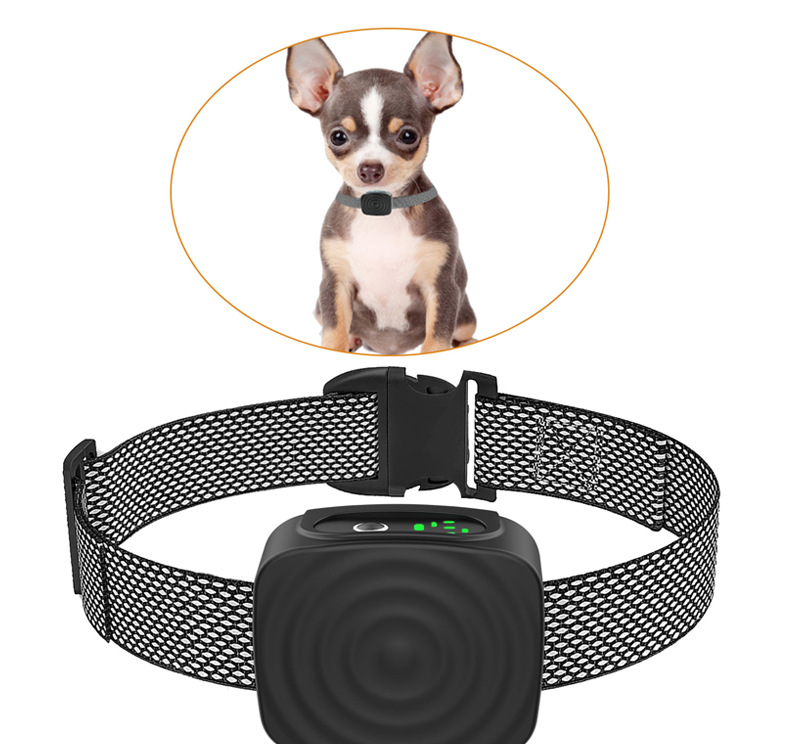 Anti-Bell-Halsband für kleine Hunde mit einstellbarer Empfindlichkeit