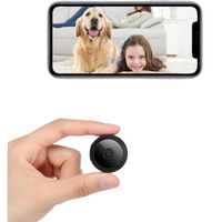 Kabellose magnetische Minikamera mit Live-Audio- und Videoübertragung